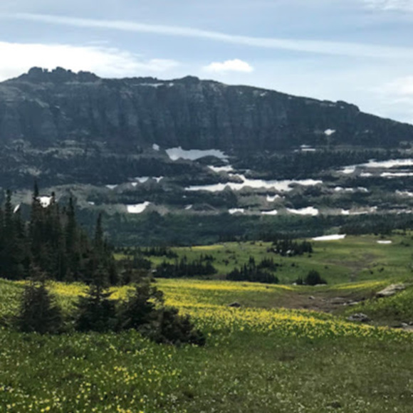 Meet your Posher, Katherine - Picture 1 of 1